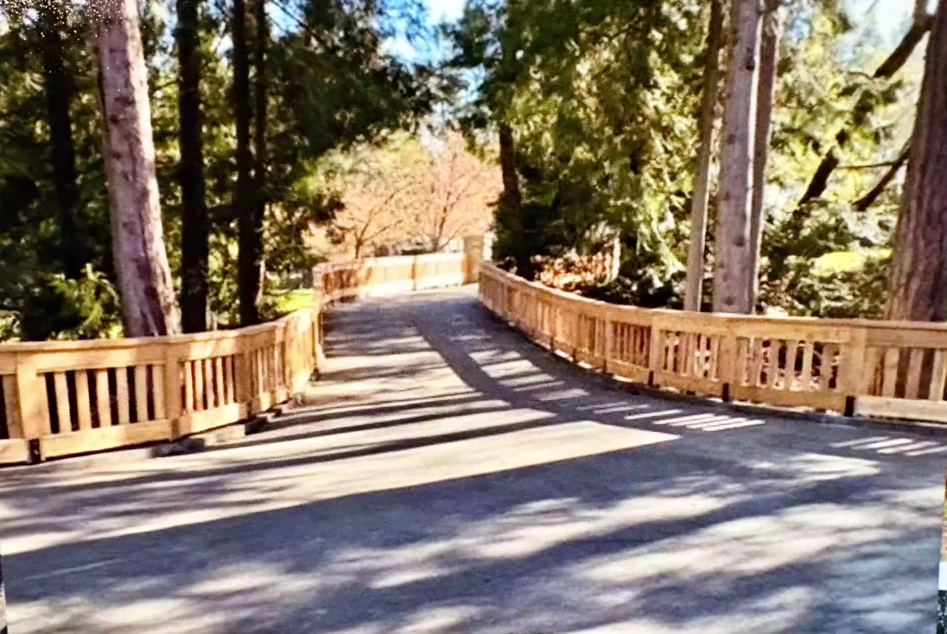 Tree-lined park walkway with wooden railings