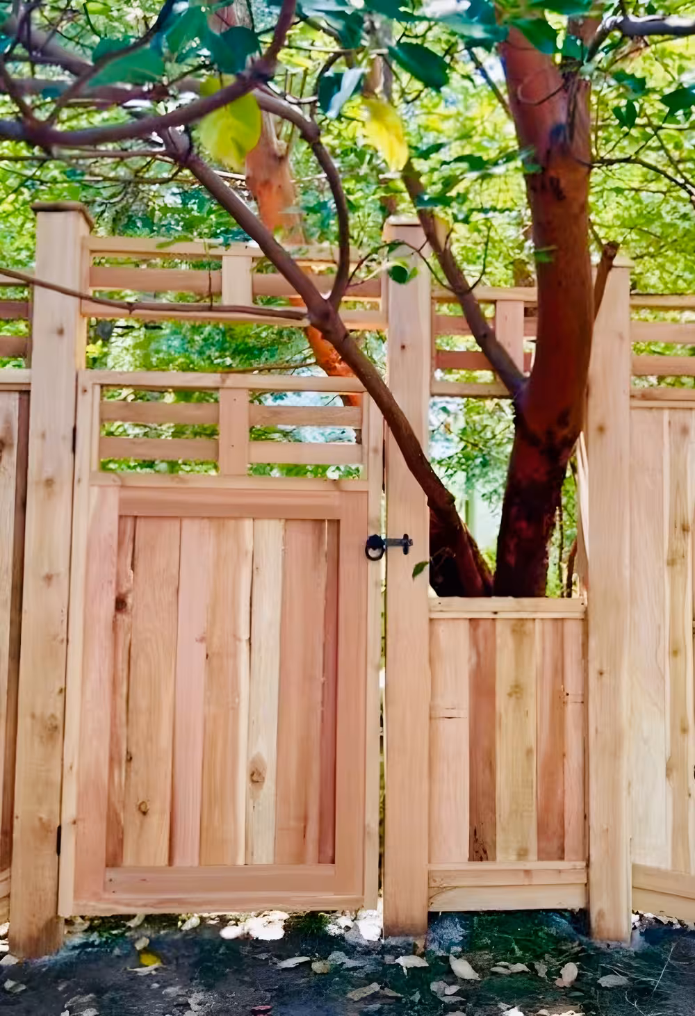 Wooden fence and gate built around a tree trunk