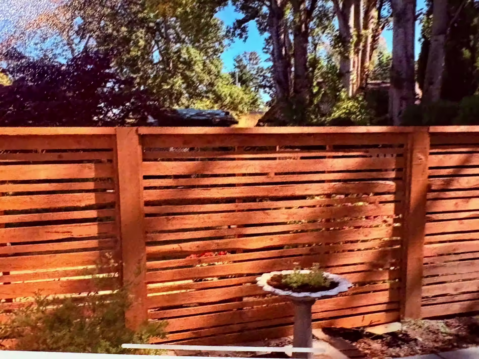 Wooden slat privacy fence with birdbath and trees in a sunny backyard.